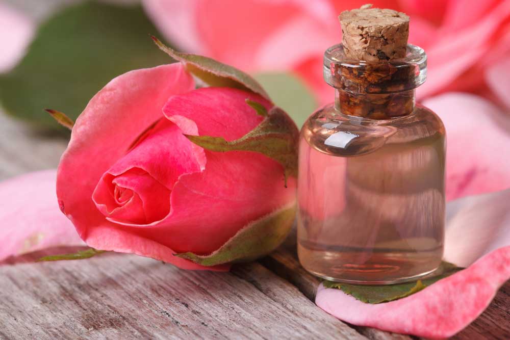 DIY : Air Bunga Mawar