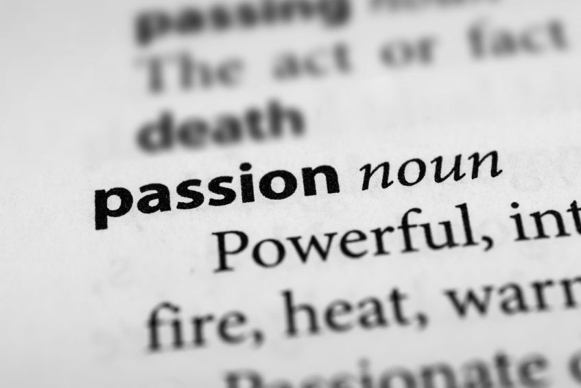 Your Passion Your Hobby