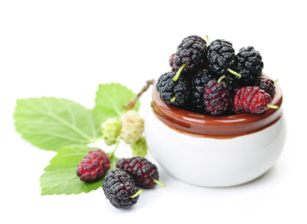 Manfaat Terbaik Mulberry untuk Kulit Wajah